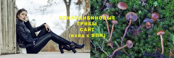 марки lsd Аркадак
