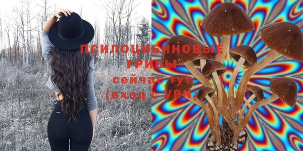 кокаин колумбия Алзамай