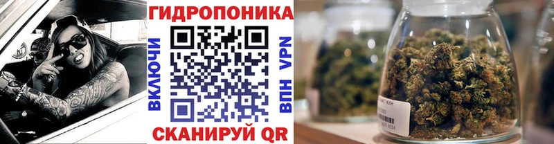 Бошки Шишки индика  купить закладку  Конаково 